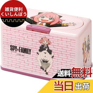 XP[^[(Skater) R }XNXgbJ[ tgAbv SPY×FAMILY 60[ MKST1NAG-A