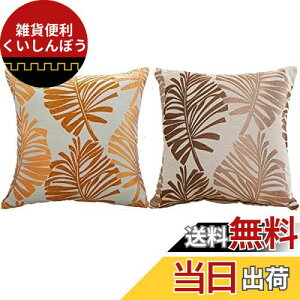 YunJeude NbVJo[ 45x45cm k 2Zbg Ȃƃl   t̕ WK[hD t@Xi[ Vv i` _ CeA (45x45, IW&R[q[)