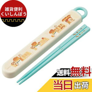 XP[^[(Skater) ٓ Zbg  16.5cm qp RۉH pǂڂ J₷XCh { ABS2AMAG-A