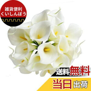 TOYMYTOY 10 uC_ EFfBO u[P  t[ I_JCE  A ^b` fR[V z[ uChCh u[P z[ fR[V lH u[P