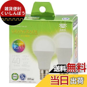 I[(OHM) d@ LEDd` E17 40`/40W F Ra93F Ή fMގ{HΉ ~jNvg` 5Nۏ 2 LDA4N-G-E17 RA 2P 06-5561