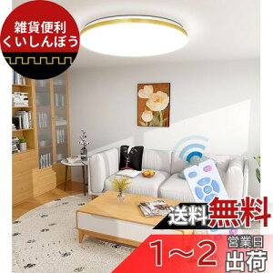 POOPEE LEDV[OCg 8 ^ ؒ Rt iKA F 28W 3600LM 铔[h @\ 30/60X[v^C}[ ȃGl VƖ a a   Q