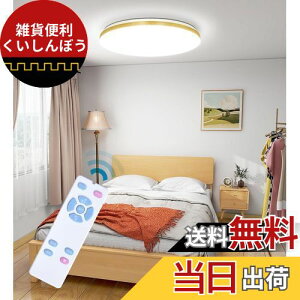 POOPEE LEDV[OCg 6 ^ ؒ Rt iKA F 24W 2800LM 铔[h @\ 30/60X[v^C}[ ȃGl VƖ a a   Q