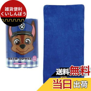 �X�P�[�^�[(Skater) �z�� ���� �o�X�^�I�� �p�E�E�p�g���[�� �c60×��120cm TODR1-A