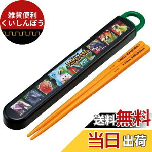 XP[^[(Skater) ٓ Zbg  16.5cm qp RۉH AjA LO_ J₷XCh { ABS2AMAG-A