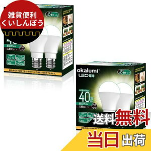 okalumi ~jNvgd E17 40W` LEDd F 480lm `d Lz s fMގ{H/Ή 4ZbgyKisz