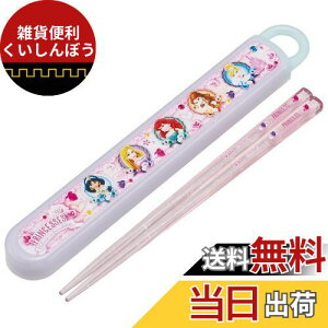 XP[^[(Skater) ٓ Zbg  16.5cm qp RۉH fBYj[ vZX 24 J₷XCh { ABS2AMAG-A