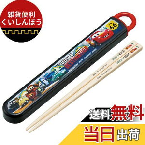 XP[^[(Skater) ٓ Zbg  16.5cm qp RۉH fBYj[ J[Y 24 J₷XCh { ABS2AMAG-A