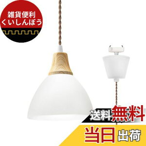 DiCUNO �y���_���g���C�g ���|�V�[�����O�p LED��̌^ 60W���� �����F 1�� �V�[�����O���C�g �V��Ɩ� �݂艺�� �R�[�h���� 80CM ���������\ �k�� ���~�`�V�F�[�h �V���v�� ������� �z���C�g 1