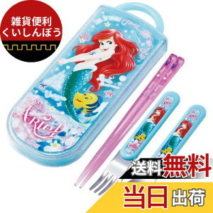 XP[^[(Skater) ٓ gIZbg  Xv[ tH[N fBYj[ AG 24 qp RۉH J₷XCh { TACC2AG-A