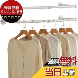 IBUYKE nK[bN ACA HƗppCvߗރbN 87cm Ղ[ AeB[N ǎt ȃXy[X DIY ړI݂_  2{Zbg JPTYJ001W-2