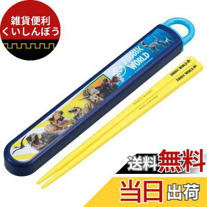 XP[^[(Skater) ٓ Zbg  16.5cm qp RۉH WVbNE[h 24 J₷XCh { ABS2AMAG-A