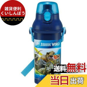 XP[^[(Skater)  480ml WVbNE[h 24 qp R vX`bN qɗD y { PSB5SANAG-A