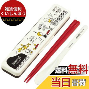 XP[^[(Skater) ٓ RrZbg  18cm Xv[ RۉH lp Xk[s[ I[PXg VRNbVtŉȂȂ { CCS3SAAG-A