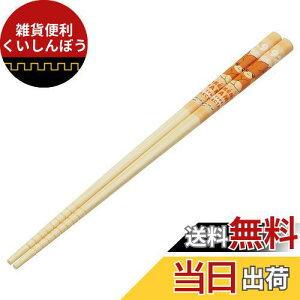 XP[^[(Skater) | S 21cm |PbgX^[ p  ANT4-A