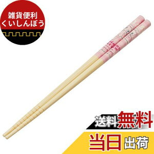 XP[^[(Skater) | S 21cm |PbgX^[ ~E  ANT4-A