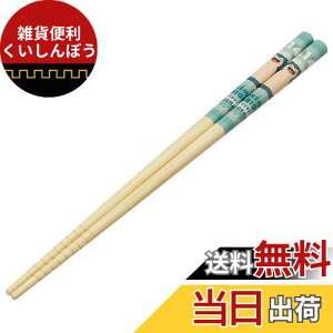 XP[^[(Skater) | S 21cm |PbgX^[ JrS  ANT4-A