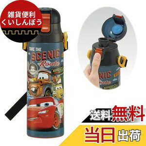 XP[^[(Skater) qp XeX   580ml fBYj[ J[Y 24 qɗDyʃ^Cv ۗp waterbottle X|[c{g  LbY q ǂ r SDC6N-A