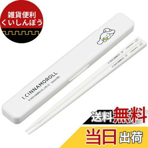 スケーター(Skater) 箸 18cm 箸箱 セット 抗菌 大人用 アイシナモロール サンリオ 日本製 ABC3AG-A