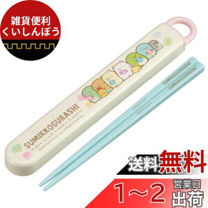 XP[^[(Skater) ٓ Zbg  16.5cm qp RۉH ݂R炵 ̂ J₷XCh { ABS2AMAG-A