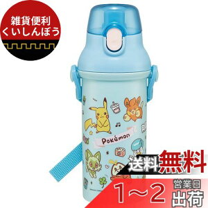 XP[^[(Skater)  480ml qp R vX`bN qɗD y |PbgX^[ Joyful { PSB5SANAG-A