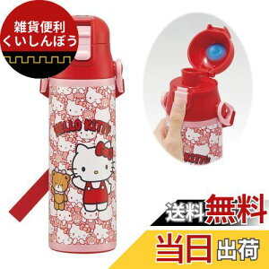 XP[^[(Skater) qp XeX   580ml n[LeB 낤 TI qɗDyʃ^Cv ۗp waterbottle X|[c{g 킢LbY q ǂ r SDC6N