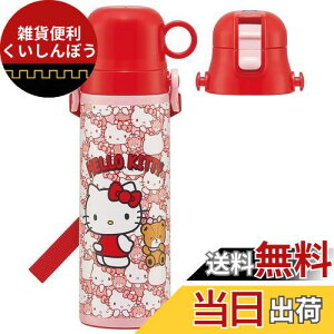 XP[^[(Skater) qp 2way XeX   580ml Rbv 570ml n[LeB 낤 TI qɗDyʃ^Cv j̎q  SKDC6-A