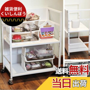 �y���������zSecchuu ���B�� �X�`�[�����b�N2�i �f�X�N�^�[�i �f�X�N�����[ �{��4.5kg �ω׏d30kg ��50x���s30x����64cm �L���X�^�[�t�� �I PS5���u�����b�N �X�^���h ���[���S�� �v�����^�[�� �T�C