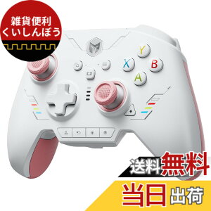 �y���������zBIGBIG WON Rainbow 2 SE ���C�����X �R���g���[���[ ���[�V���� �R���g���[���A�z�[�����ʃg���K�[�A12 �r�b�g ADC�A�W���C�X�e�B�b�N 3 �Z�b�g�A4�����\���L�[�A8�����\���L PC APP�A�R