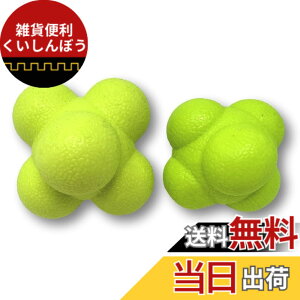 �y���������z[REONAS]���A�N�V�����{�[�� �召2��Z�b�g �C���M�����[�{�[�� ���ː_�o ���̎��� �q���� �싅 �T�b�J�[ �o�X�P�b�g �싅 �X�|�[�c �g���[�j���O ������t�� �召�{�[��(2����