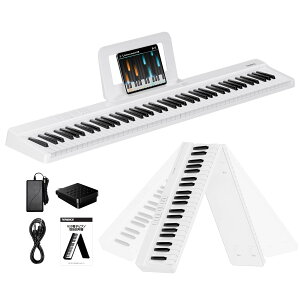 �y���������zTERENCE �d�q�s�A�m 88���� V20-B �F�F�z���C�g