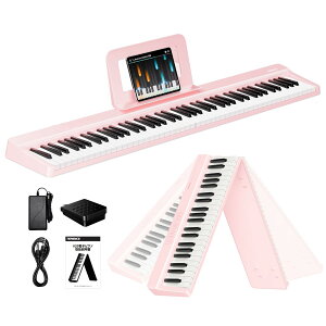 �y���������zTERENCE �d�q�s�A�m 88���� V20-B �F�F�s���N