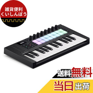 �y���������zNovation/Launchkey Mini 25 Mk4 | MIDI�L�[�{�[�h �T�C�Y�FMini 25 Key