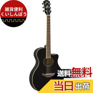 �y���������z���}�n �G���A�R�M�^�[ APX600 �F�F�u���b�N(BL)