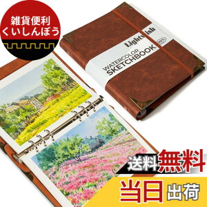 �y���������zLIGHTWISH 100%�R�b�g�� �A�V�b�h�t���[ ���ʃX�P�b�`�u�b�N �F�F���F(����)