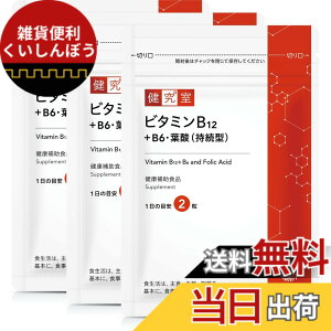 �y���������z�r�^�~��B12+B6�E�t�_(�����^) �T�C�Y�F180�� (x 1)