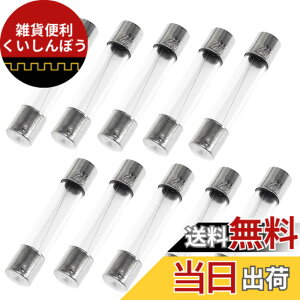 �y���������z�K���X�ǃq���[�Y 250V ��i�d�� �V�o�ǃq���[�Y �~�j�� �q���[�Y �t�@�X�g�u���[�^�C�v �K���X�~�j�ǃq���[�Y ��6x30mm 10�{���� �T�C�Y�F7A