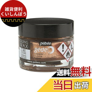 �y���������z�M���f�B���O���b�N�X SURFACE_PROTECTION_WAX �F�F�R�b�p�[