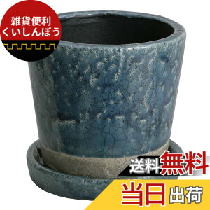 �y���������z�_���g��(Dulton) �A�ؔ� �v�����^�[ �󂯎M�t�� ������ ���픫 �J���[ ���|�p�i CH13-G476_CH15-G527_CH14-G518 COLOR GLAZED POT �F�F�~�b�h�i�C�g�u���[�A�T�C�Y�F5��