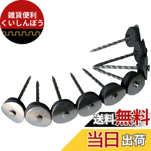 �y���������z�_�C�h�[�n���g (DAIDOHANT) (�P�B) �X�e�����X�A���P�B [ �؉��n�p ] �F�F�O���[�A�T�C�Y�F38mm