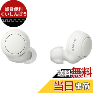 �y���������z�\�j�[(SONY) ���S���C�����X�C���z�� WF-C500/WF-C510 :/�����x�ʘb�i��/IPX4�h�H���\ �F�F�z���C�g�A�T�C�Y�F�����^