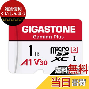 �y���������zGIGASTONE �}�C�N��sd�J�[�h 1TB-2-1 Core Group �F�F1TB Gaming Plus 1���Z�b�g�A�T�C�Y�F1TB