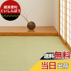 �y���������z���� �􂦂� �������J�[�y�b�g ���C�A�� �F�F�O���[���A�T�C�Y�F435 x 528 cm (�����`)