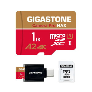 �y���������zGIGASTONE �}�C�N��sd�J�[�h 128-4-1 Core Group �F�F1TB Camera Pro MAX 1��+Type C�J�[�h���[�_�[�A�T�C�Y�F1TB 4K Camera Pro MAX + USB C Card Reader