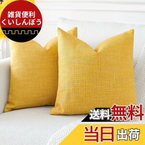 �y���������zOtostar �N�b�V�����J�o�[ �k�� 2���Z�b�g �� ���n ������� ���� ���_�� �t�@�X�i�[ �C���e���A �����p�s���[�J�o�[ �F�F�C�G���[�A�T�C�Y�F60cmx60cm(2 ���g)