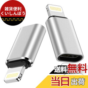 �y���������zOcbuo USB-C to ���C�g�j���O �ϊ��A�_�v�^*2�� Type C(���X�j�|Lightning�i�I�X�j�R�l�N�^ 3A�}���[�d USB C�ϊ��A�_�v�^ iPhone14 Pro/13/12�EiPad�EAirPods�Ȃ�iOS�@��Ή� �F�F�V���o�[