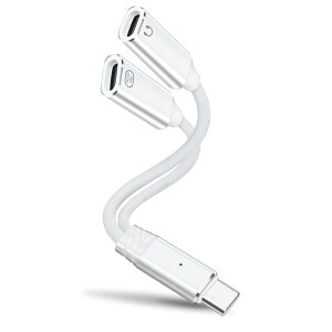 �y���������zleizhan 2-in-1 USB-C �w�b�h�z��/�[�d�A�_�v�^�[�AType-C 1����2�o�� �}���[�d + �I�[�f�B�I �f�[�^�]�� �F�F�z���C�g�A�T�C�Y�F100W 2USB-C
