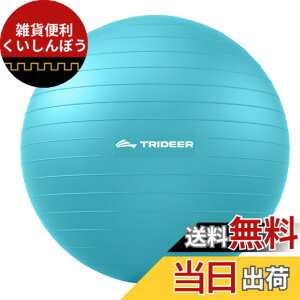 �y���������zTrideer �{�[���`�F�A ���K�{�[���`�F�A �G�N�T�T�C�Y�{�[���`�F�A �x�[�X�t�� �z�[���I�t�B�X�f�X�N�p ����{�[��&�o�����X�{�[���V�[�g ���Ɋɘa �z�[���W�� ���[�N�A�E�g�{