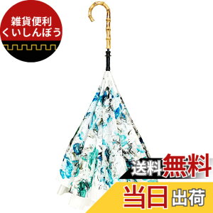 �y���������zCARRY saKASA (�L�����[�T�J�T) Impression Model �P �t���P UV�J�b�g �G��Ȃ� ������ ���J���p ���� ������� �F�F�g���A�T�C�Y�F�����T�C�Y