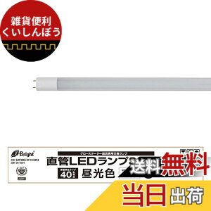 �y���������z����LED�����v 20�`���� G13 �����F �O���[�X�^�[�^�[����p �_�~�[�X�^�[�^�[�t 2�{��_LDF20SS�ED/8/102P1 06-0918 �I�[���d�@ �F�F�����F�A�T�C�Y�F40�`